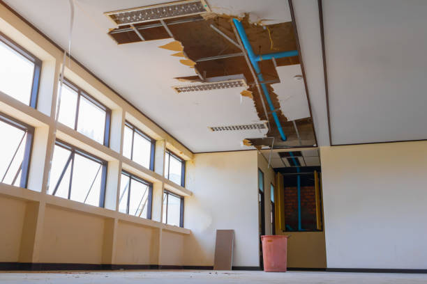Best Professional water damage repair  in Palisade, CO
