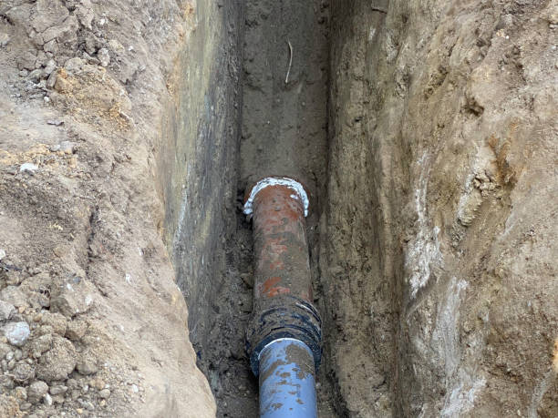 Best Flood restoration services  in Palisade, CO