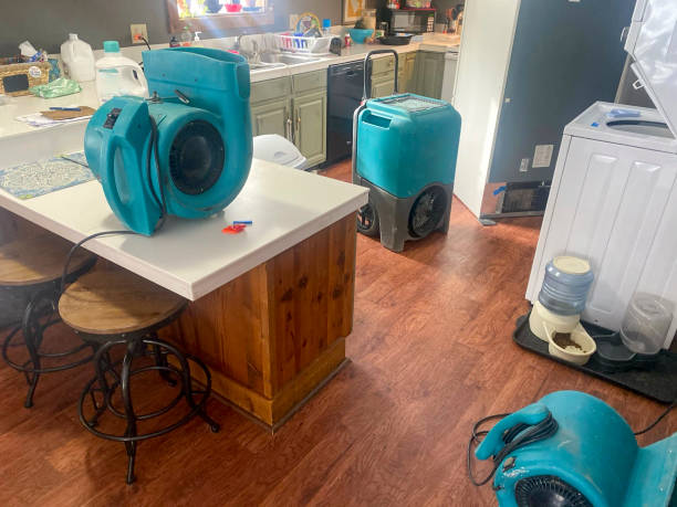 Best Residential water damage restoration  in Palisade, CO