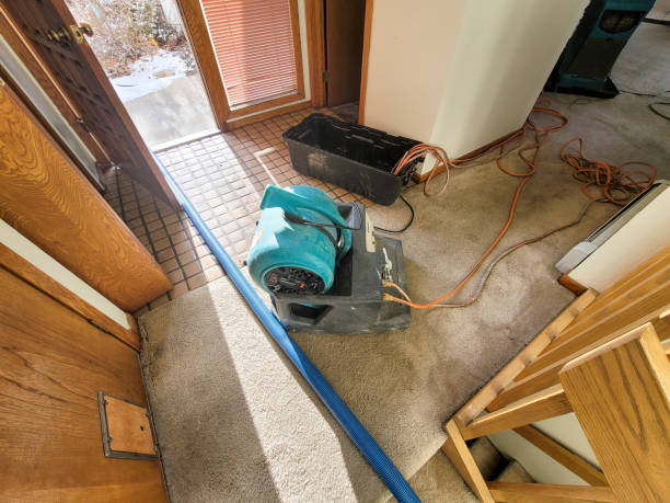 Best Water damage restoration cost  in Palisade, CO