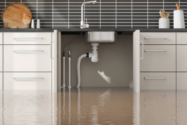 Best Water damage restoration near me  in Palisade, CO