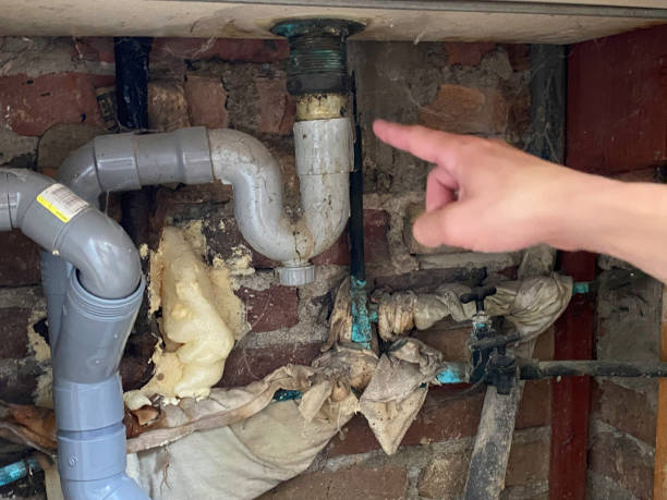 Best Sewage cleanup and water damage restoration  in Palisade, CO